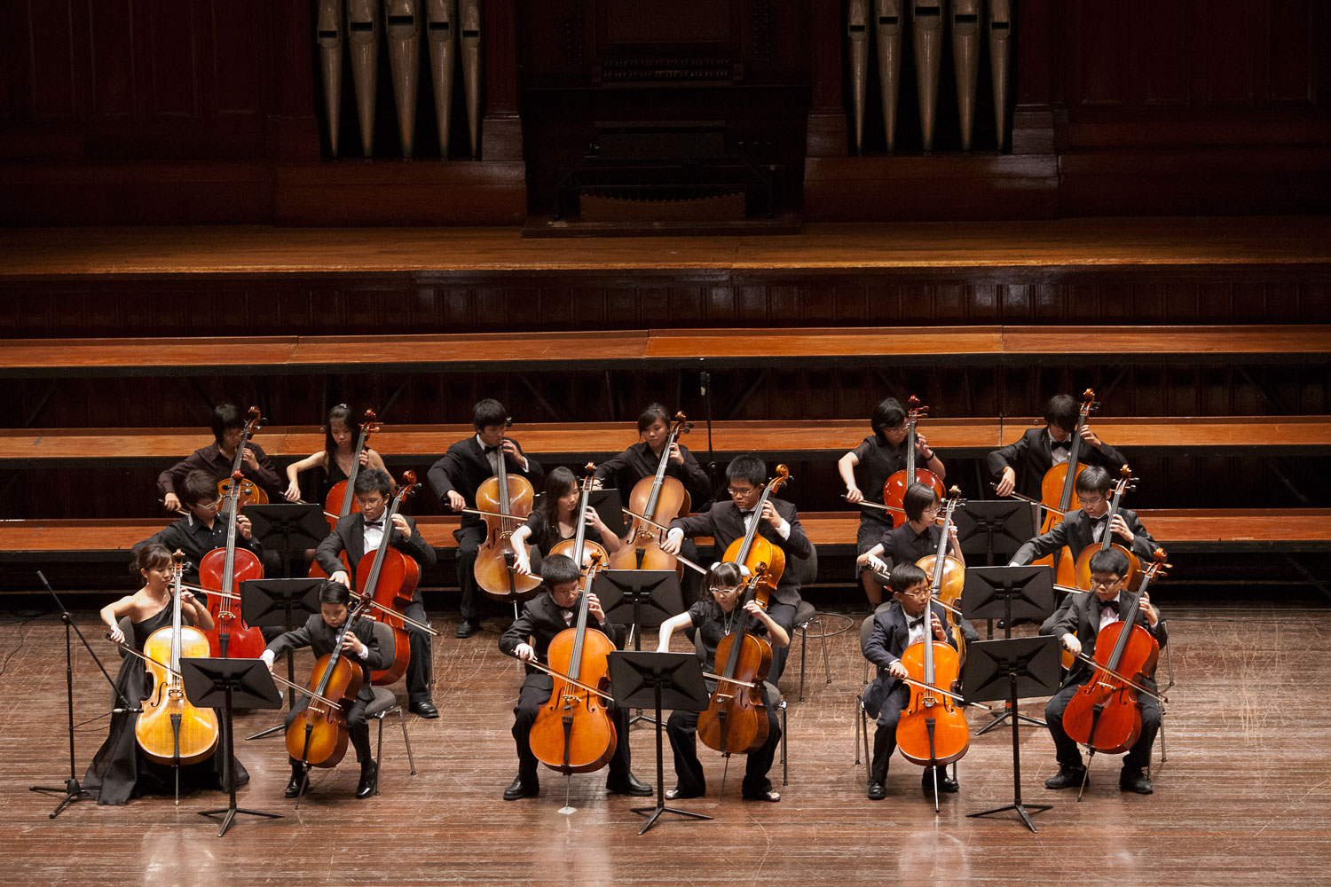 Cello Ensemble Victoria Concert Hall