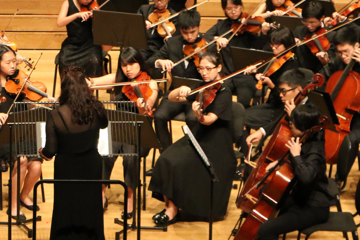 Edvox Orchestra Talento XV